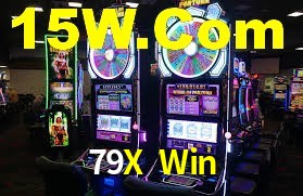 Premium Interface 79X Win
